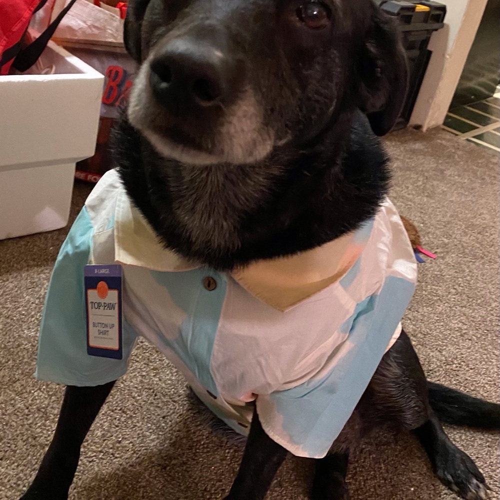 Pickle’s pooch package